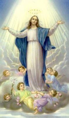 22 AGOSTO : Beata Vergine Maria Regina – ilmattinosacro